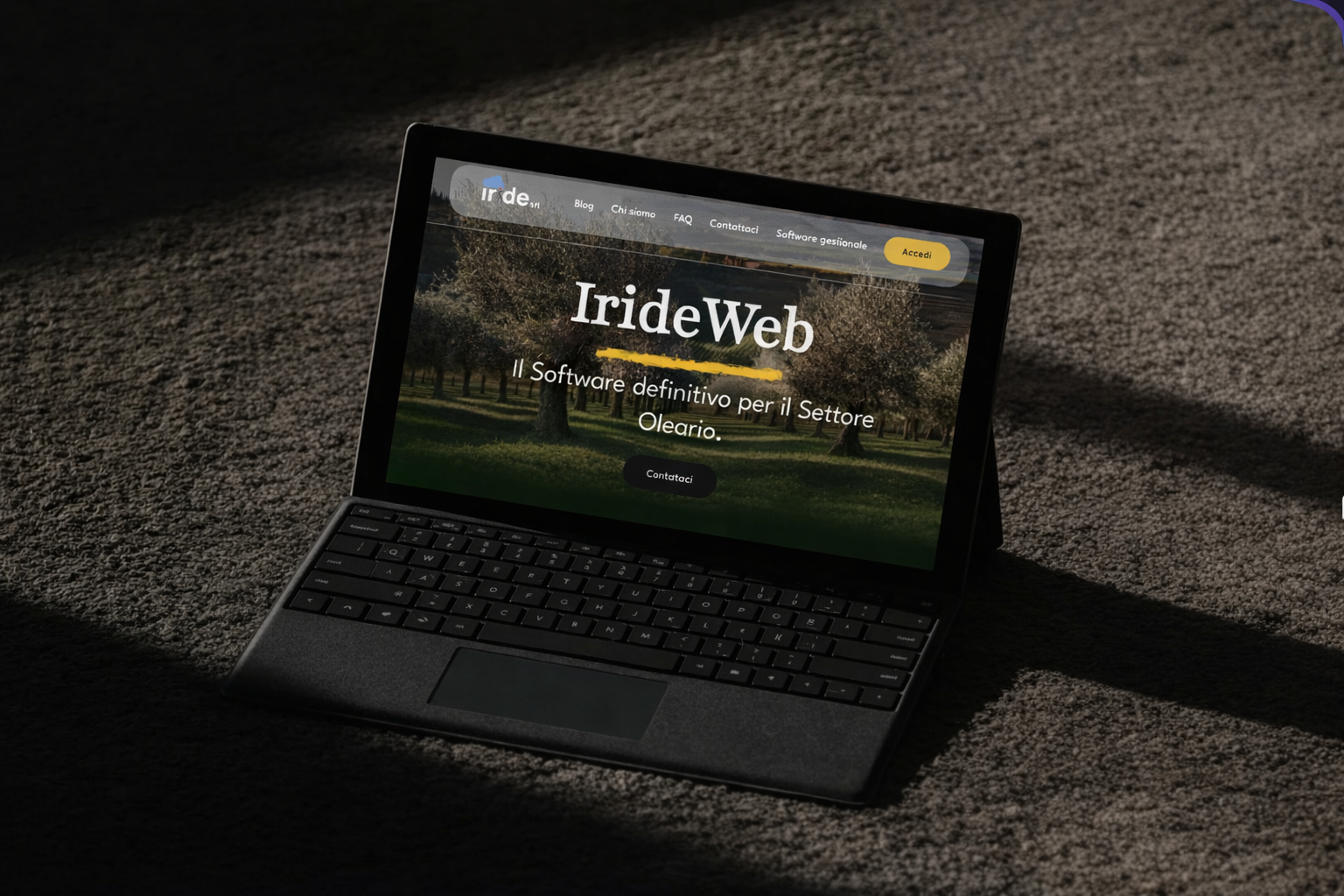 IrideWeb - Software gestionale oleario
